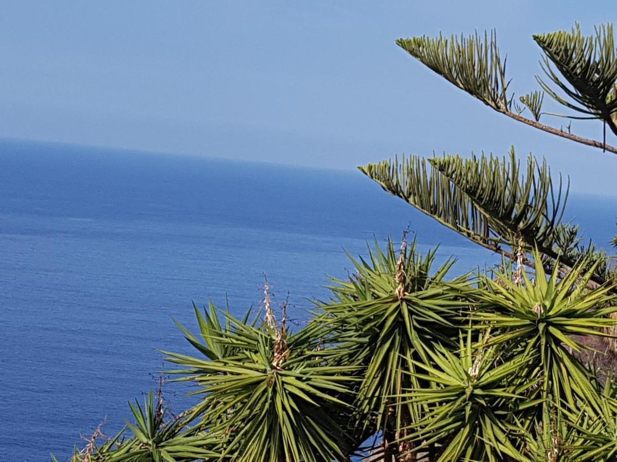 Tenerife Rooms S. C. Санта-Крус-де-Тенеріфе Екстер'єр фото