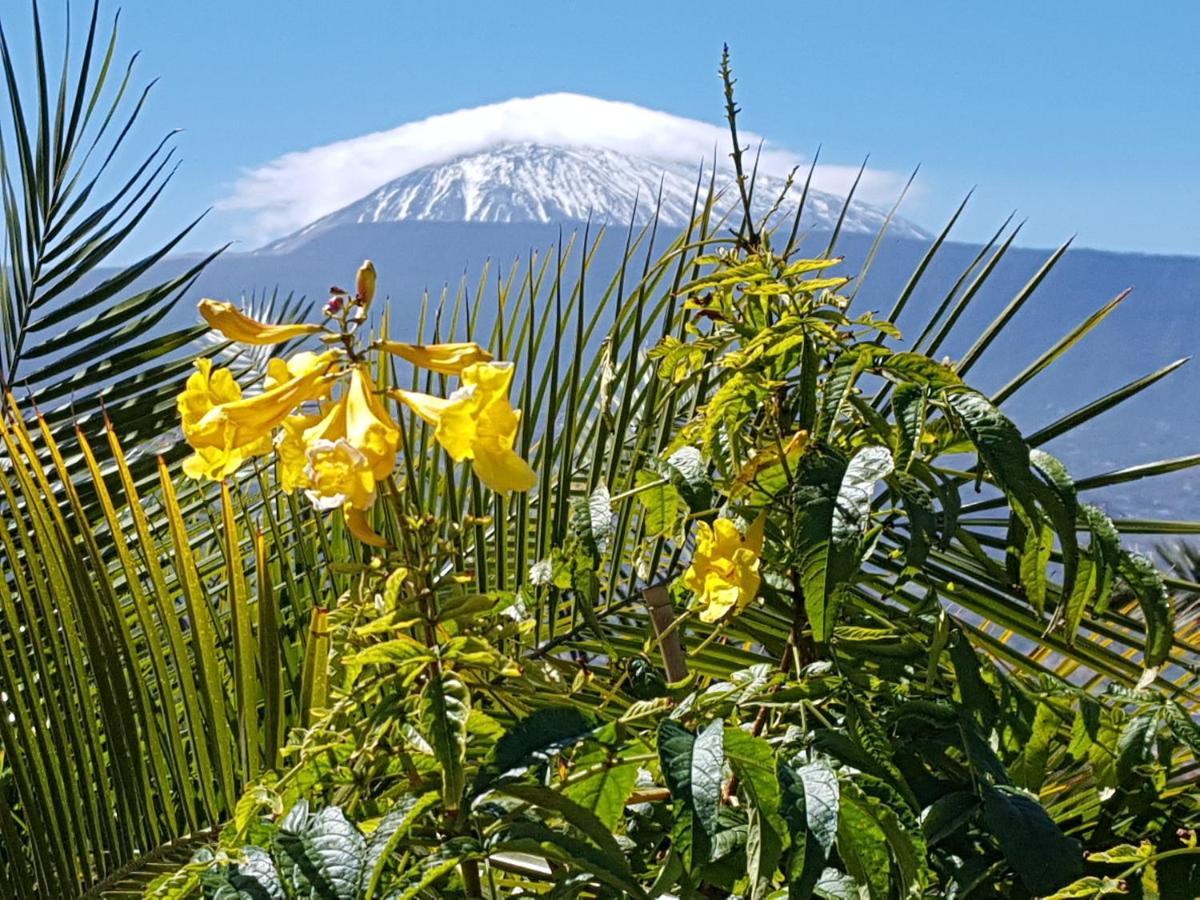 Tenerife Rooms S. C. Санта-Крус-де-Тенеріфе Екстер'єр фото